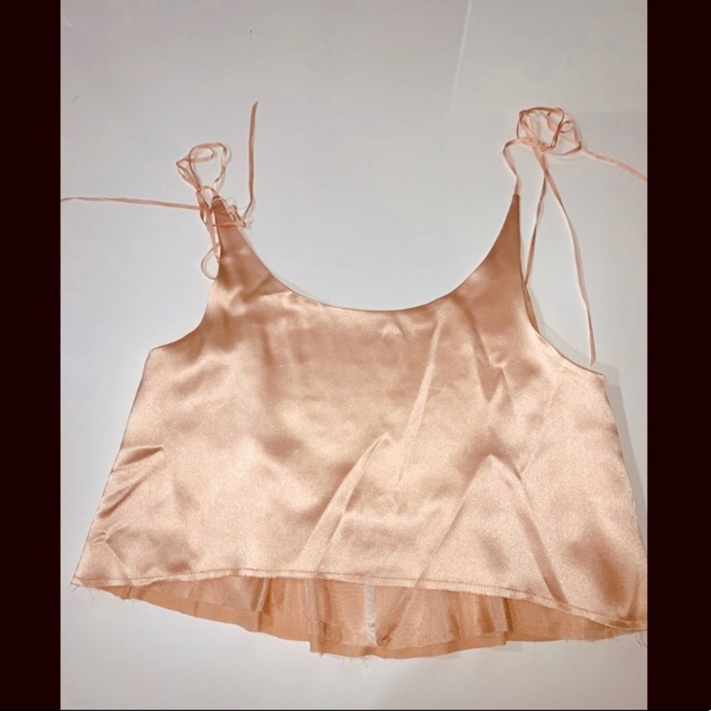 Are You Am I silk Anais camisole blush